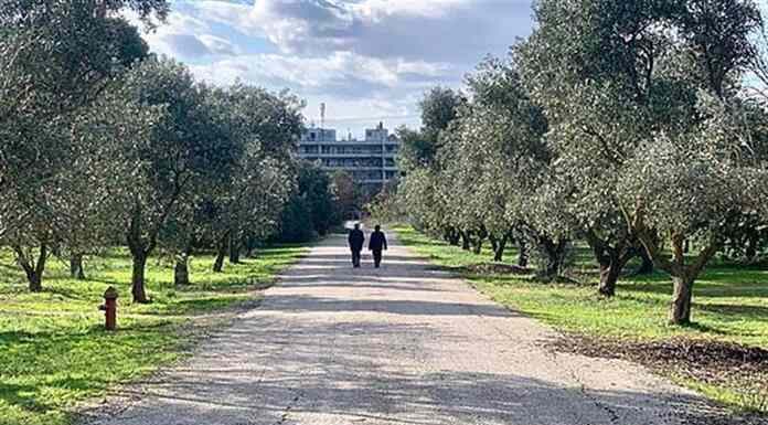 Απαγόρευση κυκλοφορίας σε άλση και δάση στην Αττική λόγω του ακραίου κινδύνου πυρκαγιάς Απαγόρευση κυκλοφορίας σε άλση και δάση στην Αττική λόγω του ακραίου κινδύνου πυρκαγιάς