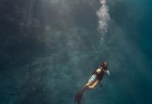 Εγκρίθηκε καταδυτικό πάρκο στην Πάχη Μεγάρων – Θα βυθιστούν αεροπλάνο, πλοίο και αγάλματα Εγκρίθηκε καταδυτικό πάρκο στην Πάχη Μεγάρων – Θα βυθιστούν αεροπλάνο, πλοίο και αγάλματα