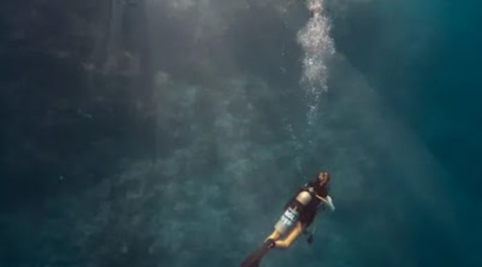 Εγκρίθηκε καταδυτικό πάρκο στην Πάχη Μεγάρων – Θα βυθιστούν αεροπλάνο, πλοίο και αγάλματα Εγκρίθηκε καταδυτικό πάρκο στην Πάχη Μεγάρων – Θα βυθιστούν αεροπλάνο, πλοίο και αγάλματα