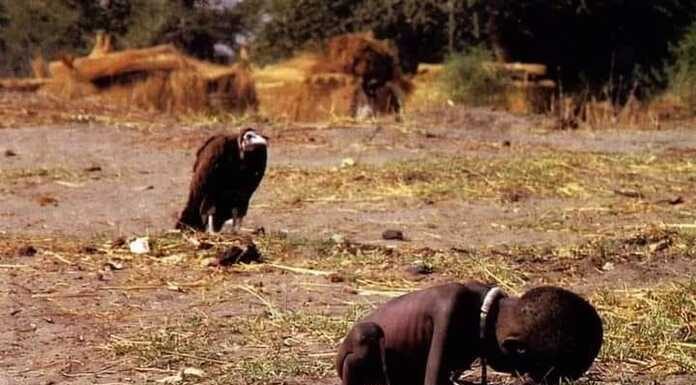 Υπήρχαν δύο γύπες εκείνη την ημέρα! Ο ένας κρατούσε “κάμερα” Υπήρχαν δύο γύπες εκείνη την ημέρα! Ο ένας κρατούσε κάμερα.”