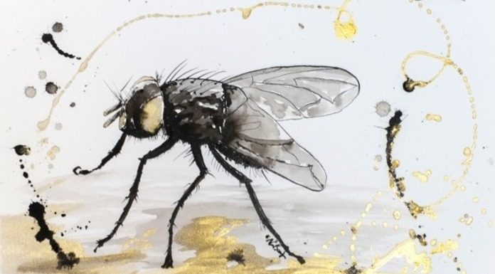 ΟΤΑΝ ΠΑΝΗΓΥΡΙΖΕΙΣ ΠΟΥ “ΒΓΗΚΑΤΕ ΠΡΩΤΟ ΚΩΜΑ” ΤΟ ΜΥΓΟΧΑΡΤΟ ΕΧΕΙ ΒΓΑΛΕΙ ΤΑ ΛΕΦΤΑ ΤΟΥ… ΟΤΑΝ ΠΑΝΗΓΥΡΙΖΕΙΣ ΠΟΥ "ΒΓΗΚΑΤΕ ΠΡΩΤΟ ΚΩΜΑ" ΤΟ ΜΥΓΟΧΑΡΤΟ ΕΧΕΙ ΒΓΑΛΕΙ ΤΑ ΛΕΦΤΑ ΤΟΥ...