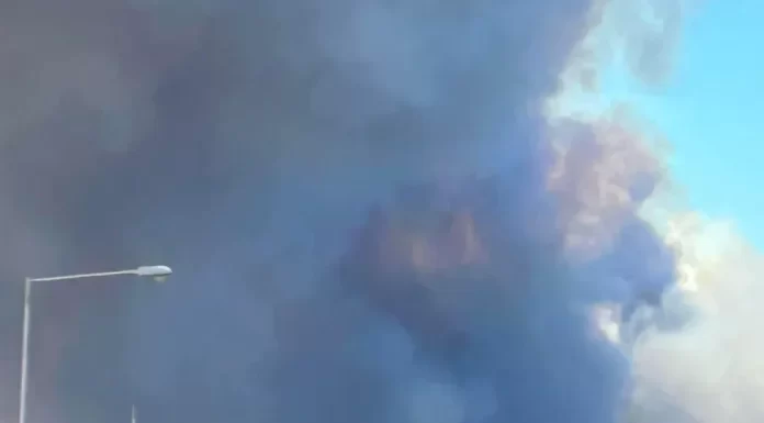 Πυρκαγιά στην Εύβοια: Κάηκε πυροσβεστικό όχημα – Εξερράγη ανεμογεννήτρια (φώτο-βίντεο) – οι προεργασίες Ανεξέλεγκτη καίει η φωτιά που ξέσπασε το μεσημέρι της Δευτέρας (29/7) σε δασική έκταση μεταξύ των χωριών Πετριές και Κριεζά στην Εύβοια.