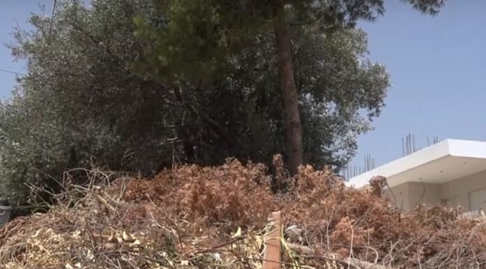 300 ευρώ πρόστιμο σε όσους καθάρισαν αλλά δεν μπόρεσαν να «ξεφορτωθούν»κλαδιά και ξερόχορτα! 300 ευρώ πρόστιμο σε όσους καθάρισαν αλλά δεν μπόρεσαν να «ξεφορτωθούν»κλαδιά και ξερόχορτα!