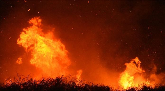 Φωτιές: 26 αγροτοδασικές πυρκαγιές μέσα σε 24 ώρες Φωτιές: 26 αγροτοδασικές πυρκαγιές μέσα σε 24 ώρες