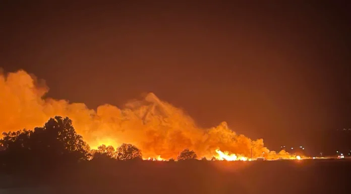 Πυροσβεστική: Εκδηλώθηκαν 28 πυρκαγιές μέσα σε ένα 24ωρο – Υψηλός κίνδυνος φωτιάς την Κυριακή 25 Αυγούστου Πυροσβεστική: Εκδηλώθηκαν 28 πυρκαγιές μέσα σε ένα 24ωρο – Υψηλός κίνδυνος φωτιάς την Κυριακή 25 Αυγούστου