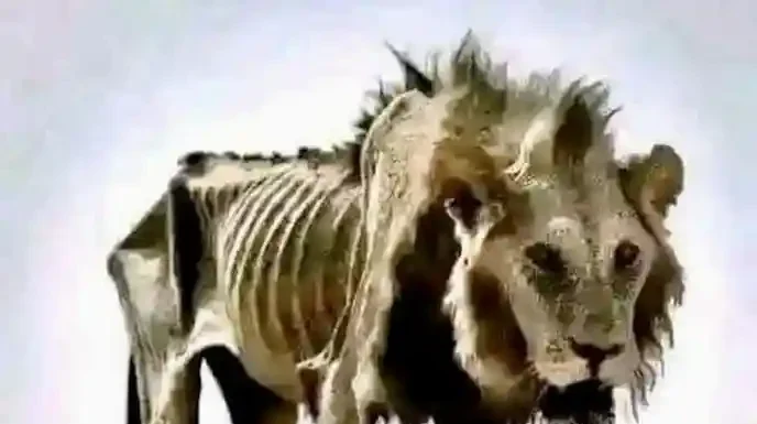 Το φορολογικό ποίημα Το φορολογικό ποίημα