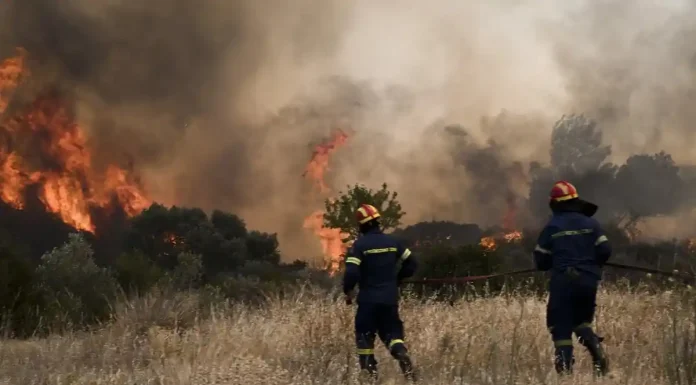 Πυροσβεστική: 23 οι πυρκαγιές που ξέσπασαν το τελευταίο 24ωρο στη χώρα Πυροσβεστική: 23 οι πυρκαγιές που ξέσπασαν το τελευταίο 24ωρο στη χώρα