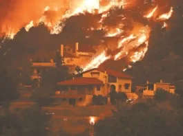 Οργή πολιτών! – Έχουν καεί πάνω από 100.000 στρέμματα σε λίγες ώρες στην πρωτεύουσα της χώρας!