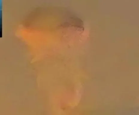 Υπουργείο Υγείας Λιβάνου: 564 νεκροί από την ισραηλινή επίθεση στο Ν Λίβανο. Ο ΑΚΗΡΥΧΤΟΣ ΠΟΛΕΜΟΣ.. Υπουργείο Υγείας Λιβάνου: 564 νεκροί από την ισραηλινή επίθεση στο Ν Λίβανο. Ο ΑΚΗΡΥΧΤΟΣ ΠΟΛΕΜΟΣ..