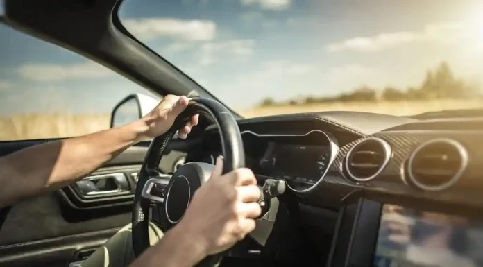 Χτύπησες σκύλο ή γάτα με το αυτοκίνητο – Αυτό είναι το υψηλό πρόστιμο που σε περιμένει Χτύπησες σκύλο ή γάτα με το αυτοκίνητο – Αυτό είναι το υψηλό πρόστιμο που σε περιμένει