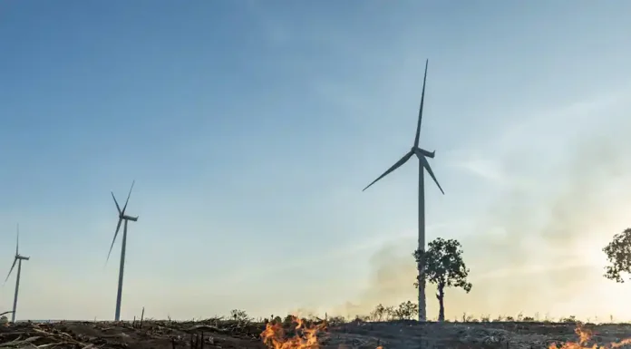 Όρος Όρβηλος Σερρών: Υπήρχε αίτημα για ανεμογεννήτριες στις περιοχές που κάηκαν και είχε απορριφθεί! Όρος Όρβηλος Σερρών: Υπήρχε αίτημα για ανεμογεννήτριες στις περιοχές που κάηκαν και είχε απορριφθεί!