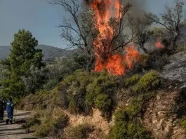 Πυροσβεστική: 31 οι φωτιές που ξέσπασαν το τελευταίο 24ωρο στη χώρα