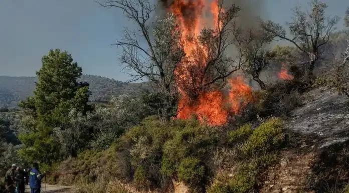 Πυροσβεστική: 31 οι φωτιές που ξέσπασαν το τελευταίο 24ωρο στη χώρα Πυροσβεστική: 31 οι φωτιές που ξέσπασαν το τελευταίο 24ωρο στη χώρα