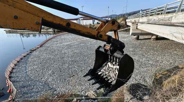 Ε.Λέκκας για Παγασητικό κόλπο: «Δεν είμαι σίγουρος για την ασφάλεια της ταφής των νεκρών ψαριών» Ε.Λέκκας για Παγασητικό κόλπο: «Δεν είμαι σίγουρος για την ασφάλεια της ταφής των νεκρών ψαριών»