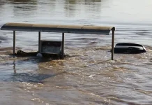Έλληνες και κομματικά στελέχη της ΝΔ οι Ολλανδοί ειδικοί που πληρώθηκαν αδρά για την μελέτη διάσωσης της Θεσσαλίας! Έλληνες και κομματικά στελέχη της ΝΔ οι «Ολλανδοί ειδικοί» που πληρώθηκαν αδρά για την «μελέτη διάσωσης της Θεσσαλίας»!
