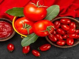 Επικίνδυνες ουσίες σε Τοματοπελτέδες: Βρέθηκε Μόλυβδος, μυκοτοξίνες και φυτοφάρμακα