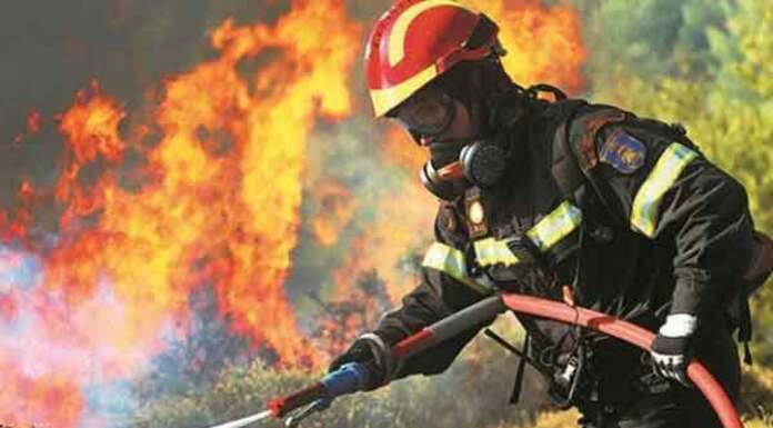 Πυροσβεστική: 51 οι πυρκαγιές που ξέσπασαν το τελευταίο 24ωρο στη χώρα Πυροσβεστική: 51 οι πυρκαγιές που ξέσπασαν το τελευταίο 24ωρο στη χώρα