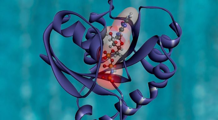 Βιολογικό Εθνικό όπλο του Ισραήλ;