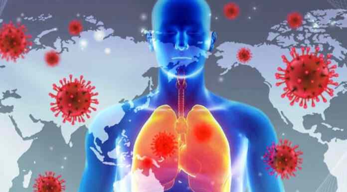 Έρευνα για το εμβόλιο κατά του COVID-19:Ποιοι είναι οι παράγοντες που οδηγούν στη ραγδαία μείωση των αντισωμάτων από τη χρήση του!! Έρευνα για το εμβόλιο κατά του COVID-19:Ποιοι είναι οι παράγοντες που οδηγούν στη ραγδαία μείωση των αντισωμάτων από τη χρήση του!!