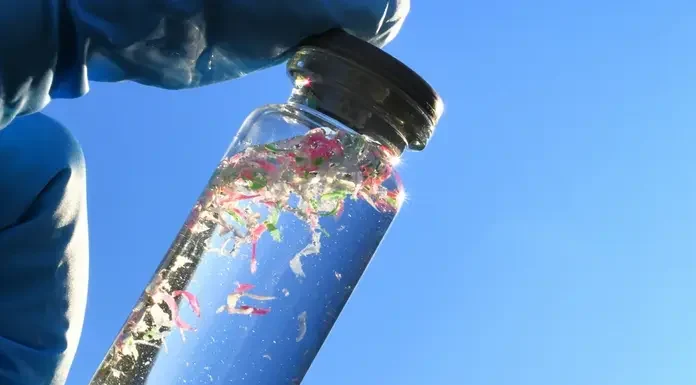 Έρευνα για τα μικροπλαστικά αποκαλύπτει:Ναι μπορεί να συσχετίζονται με υπογονιμότητα και καρκίνο! Έρευνα για τα μικροπλαστικά αποκαλύπτει:Ναι μπορεί να συσχετίζονται με υπογονιμότητα και καρκίνο!