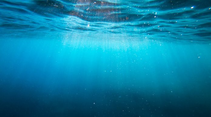 Robert F. Kennedy Jr: Το φθόριο είναι ένα βιομηχανικό απόβλητο ΚΑΙ ΠΡΕΠΕΙ ΝΑ ΑΠΟΜΑΚΡΥΝΘΕΙ ΑΠΟ ΤΟ ΝΕΡΟ Robert F. Kennedy Jr: Το φθόριο είναι ένα βιομηχανικό απόβλητο ΚΑΙ ΠΡΕΠΕΙ ΝΑ ΑΠΟΜΑΚΡΥΝΘΕΙ ΑΠΟ ΤΟ ΝΕΡΟ