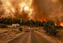 Πού οφείλονται οι μεγάλες δασικές πυρκαγιές? Πού οφείλονται οι μεγάλες δασικές πυρκαγιές?