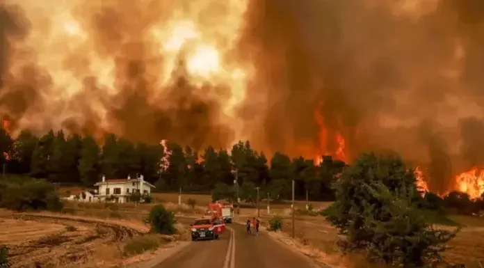 Πού οφείλονται οι μεγάλες δασικές πυρκαγιές? Πού οφείλονται οι μεγάλες δασικές πυρκαγιές?