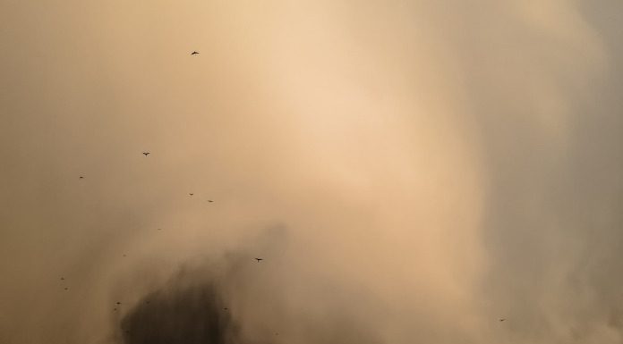 Αφρικανική σκόνη: Μέτρα προστασίας από τον ΕΟΔΥ – Ποιοι κινδυνεύουν ΕΟΔΥ: Μέτρα προστασίας από την αφρικανική σκόνη – Ποιοι κινδυνεύουν