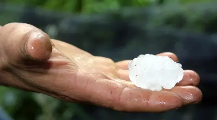 Ισχυρή χαλαζόπτωση σε Τύρναβο και Φάρσαλα: Μεγάλες ζημιές σε καλλιέργειες-ΤΟ ΕΚΑΝΕ Η 3Δ.ΑΕ ΜΕ ΤΟ ΥΠΟΥΡΓΕΙΟ ΓΕΩΡΓΙΑΣ? Ισχυρή χαλαζόπτωση σε Τύρναβο και Φάρσαλα: Μεγάλες ζημιές σε καλλιέργειες-ΤΟ ΕΚΑΝΕ Η 3Δ.ΑΕ ΜΕ ΤΟ ΥΠΟΥΡΓΕΙΟ ΓΕΩΡΓΙΑΣ?