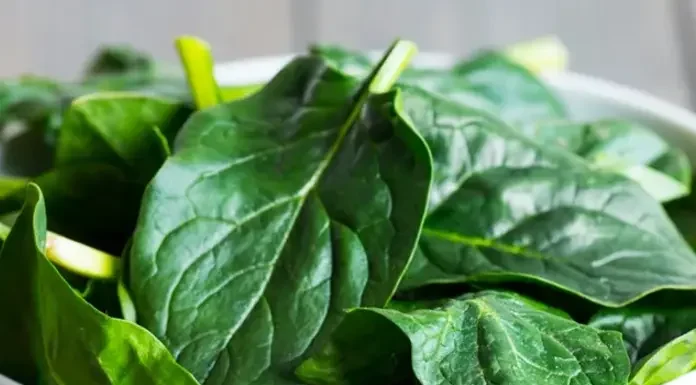 Ποια είναι η υπερτροφή που είναι ενυδατική όσο το νερό που καταναλώνετε! Ποια είναι η υπερτροφή που είναι ενυδατική όσο το νερό που καταναλώνετε!