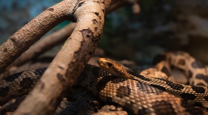 Ο συνδικαλισμός έχει ύπουλο ρόλο στην Ελλάδα