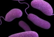 Οι κομματικοί μηχανισμοί μολύνουν το Ελληνικό Πανεπιστήμιο