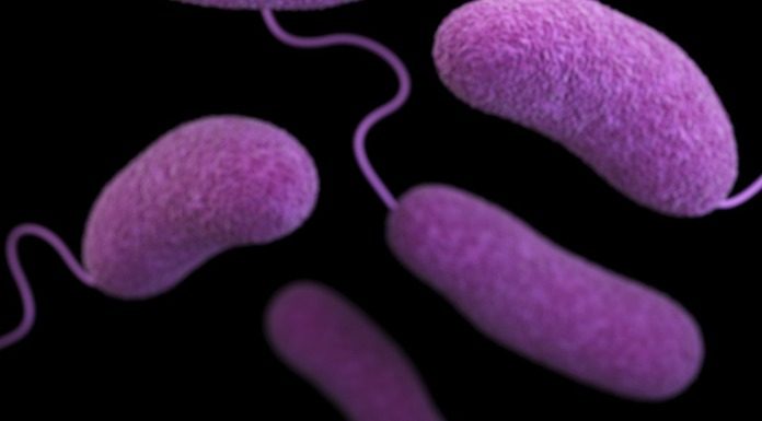 Οι κομματικοί μηχανισμοί μολύνουν το Ελληνικό Πανεπιστήμιο