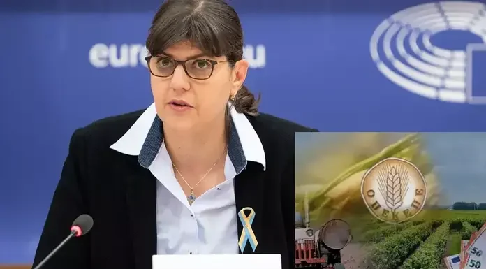 Διεθνής διασυρμός: Το «δόγμα» της συγκάλυψης και η κυβερνητική ευθύνη – ο ΟΠΕΚΕΠΕ ως σύμβολο θεσμικής «σήψης»! Διεθνής διασυρμός:Το «δόγμα» της συγκάλυψης και η κυβερνητική ευθύνη - ο ΟΠΕΚΕΠΕ ως σύμβολο «θεσμικής» σήψης