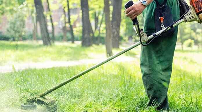 Η Κυβέρνηση μεταφέρει την ευθύνη στους πολίτες για τις πυρκαγιές που δεν σβήνουν-Μέχρι τις 15 Ιουνίου ο καθαρισμός των οικοπέδων Η Κυβέρνηση μεταφέρει την ευθύνη στους πολίτες για τις πυρκαγιές που δεν σβήνουν-Μέχρι τις 15 Ιουνίου ο καθαρισμός των οικοπέδων