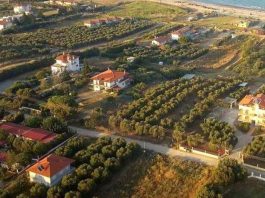 Η κατάπτωση της κυβέρνησης Μητσοτάκη: Με προεδρικό διάταγμα απαξιώνει τις περιουσίες χιλιάδων Ελλήνων!!!