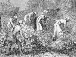 Ο σκλάβος χωρίς εκπαίδευση που έλυσε σε δευτερόλεπτα πρόβλημα που οι επιστήμονες προσπαθούσαν για ώρες!