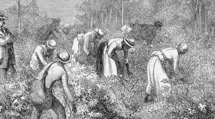 Ο σκλάβος χωρίς εκπαίδευση που έλυσε σε δευτερόλεπτα πρόβλημα που οι επιστήμονες προσπαθούσαν για ώρες! Ο σκλάβος χωρίς εκπαίδευση που έλυσε σε δευτερόλεπτα πρόβλημα που οι επιστήμονες προσπαθούσαν για ώρες!