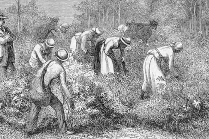 Ο σκλάβος χωρίς εκπαίδευση που έλυσε σε δευτερόλεπτα πρόβλημα που οι επιστήμονες προσπαθούσαν για ώρες! Ο σκλάβος χωρίς εκπαίδευση που έλυσε σε δευτερόλεπτα πρόβλημα που οι επιστήμονες προσπαθούσαν για ώρες!