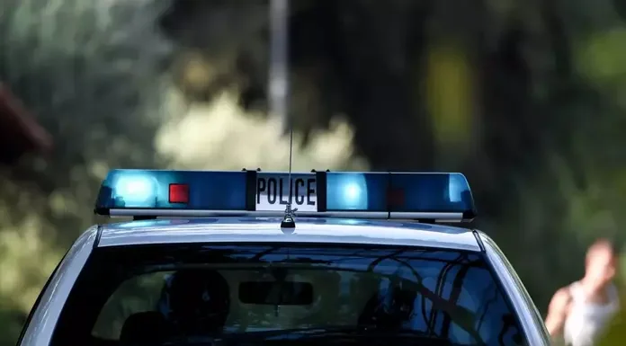 Ξάνθη:Σύλληψη δύο Ρομά που ξήλωσαν πηνία χαλκού από στύλους της ΔΕΔΔΗΕ αξίας 155.160 ευρώ – Δείτε φωτογραφίες Ξάνθη: Σύλληψη δύο Ρομά που ξήλωσαν πηνία χαλκού από στύλους της ΔΕΔΔΗΕ αξίας 155.160 ευρώ