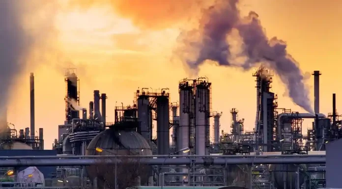 Γερμανικός Τύπος: Η Κομισιόν ανέθετε με πληρωμένα συμβόλαια σε ΜΚΟ να προωθούν την πράσινη πολιτική της – Μιλήστε μου πάλι για πράσινη ανάπτυξη και άλογα Γερμανικός Τύπος: Η Κομισιόν ανέθετε με πληρωμένα συμβόλαια σε ΜΚΟ να προωθούν την πράσινη πολιτική της - Μιλήστε μου πάλι για πράσινη ανάπτυξη και άλογα