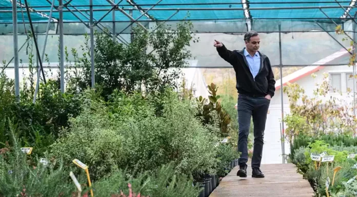 «Βόμβα» για το σκάνδαλο στον ΟΠΕΚΕΠΕ: Ψάχνουν έμβασμα 1.500.000 ευρώ σε πολιτικό! «Βόμβα» για το σκάνδαλο στον ΟΠΕΚΕΠΕ: Ψάχνουν έμβασμα 1.500.000 ευρώ σε πολιτικό!