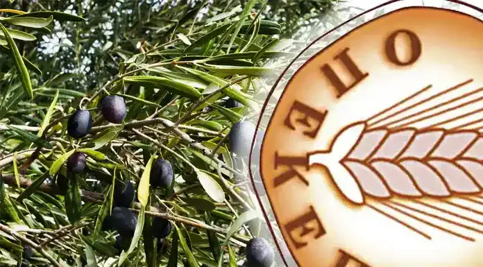 Σκάνδαλο ΟΠΕΚΕΠΕ:Διάλογοι φωτιά με τον γαλάζιο πρώην πρόεδρο-Στο «κόλπο» και ηγούμενος Μονής! Σκάνδαλο ΟΠΕΚΕΠΕ:Διάλογοι φωτιά με τον γαλάζιο πρώην πρόεδρο-Στο «κόλπο» και ηγούμενος Μονής!