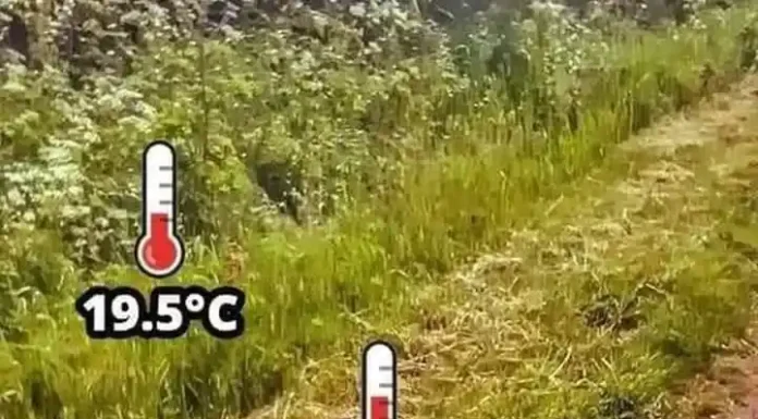 Αν μπει μέχρι το τελευταίο κομμάτι τσιμέντο και άσφαλτο , μην παραπονιέσαι για τη ζέστη Αν μπει μέχρι το τελευταίο κομμάτι τσιμέντο και άσφαλτο , μην παραπονιέσαι για τη ζέστη