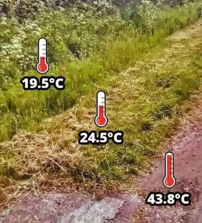 Αν μπει μέχρι το τελευταίο κομμάτι τσιμέντο και άσφαλτο , μην παραπονιέσαι για τη ζέστη