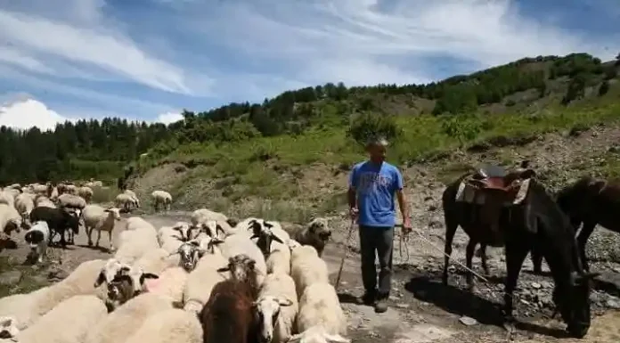 “Πρέπει να εμφανίσουμε καμιά ευλογιά” από διάλογο στο σκάνδαλο ΟΠΕΚΕΠΕ !!! "Πρέπει να εμφανίσουμε καμιά ευλογιά" από διάλογο στο σκάνδαλο ΟΠΕΚΕΠΕ !!!