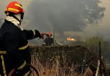 Συγκλονίζει η μαρτυρία του Αρχηγού των Πυροσβεστικών Υπηρεσιών του Αννόβερο της Γερμανίας για την φωτιά στην Εύβοια Συγκλονίζει η μαρτυρία του Αρχηγού των Πυροσβεστικών Υπηρεσιών του Αννόβερο της Γερμανίας για την φωτιά στην Εύβοια