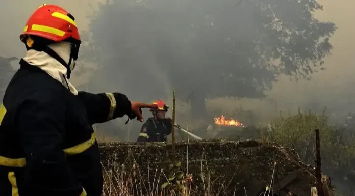 Συγκλονίζει η μαρτυρία του Αρχηγού των Πυροσβεστικών Υπηρεσιών του Αννόβερο της Γερμανίας για την φωτιά στην Εύβοια Συγκλονίζει η μαρτυρία του Αρχηγού των Πυροσβεστικών Υπηρεσιών του Αννόβερο της Γερμανίας για την φωτιά στην Εύβοια