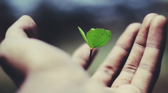 Σε αυτόν τον βίο ενσαρκωθήκαμε για να ζήσουμε και να δημιουργήσουμε