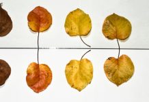 Αρτέμης Σώρρας: Τα αντίθετα είναι ίδια